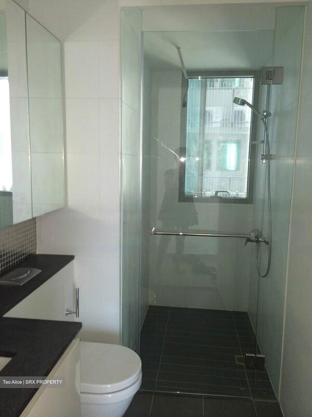 The Minton (D19), Condominium #425825101